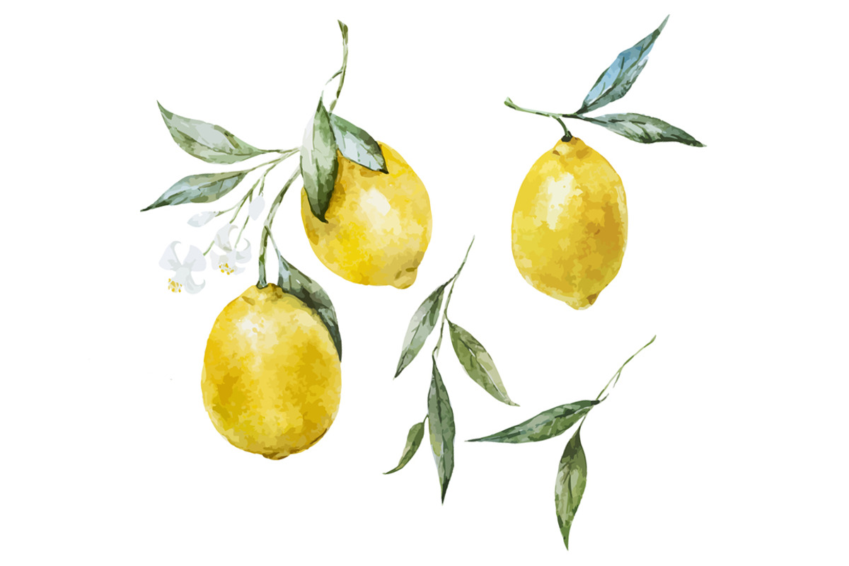 Watercolor lemons patterns, a Pattern Graphic by Lembrik's Artworks (Photo 5 of 5)