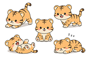 Baby Tiger Cartoon Character Set, an Animal Illustration by Artpon Illustration (Thumbnail 2 of 3)