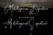 Metalinguera - Signature font, a Font by Majelis Art (Thumbnail 7 of 9)