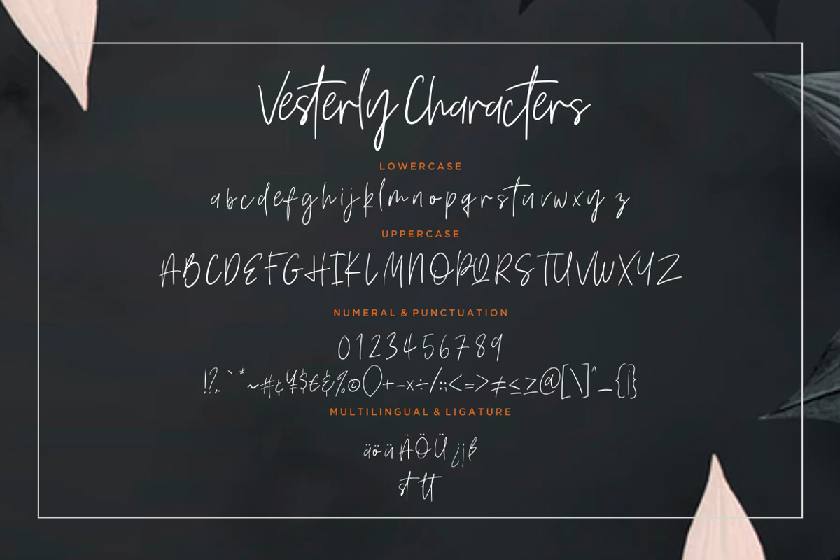 Vesterly Signature Wedding Font preview 7