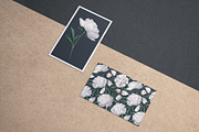 White Realistic Peonies Set, a Decorative Illustration by MarynaPetrovska (Thumbnail 14 of 16)