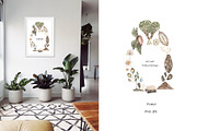 Watercolor Plant Life Cycle, an Education Illustration by MayaNavits (Thumbnail 16 of 17)
