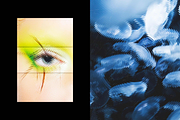 Refraction Glass Photo Effect, a Texture Graphic by Design Squad (Thumbnail 7 of 7)