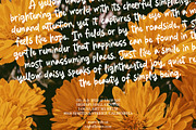 Butter Sweetness - Brush Font, a Handwritten Font by VASTARD STUDIO (Thumbnail 3 of 12)