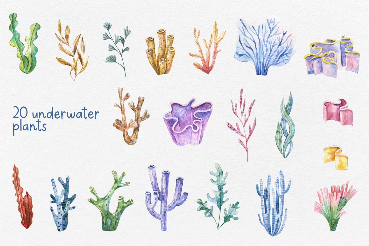 Under the sea. Watercolor Collection, an Animal Illustration by the_myro (Photo 3 of 7)