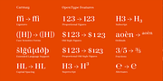 Carmay, a Serif Font by Hoftype (Thumbnail 15 of 15)