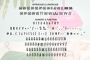 Summer Tumbler | Script Font, a Script Font by Scratchones (Thumbnail 7 of 8)