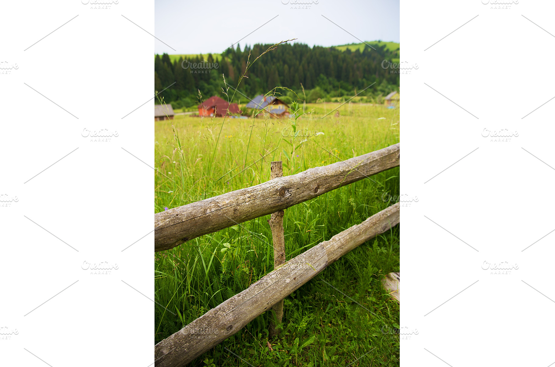 Carpathian nature in summer, a Nature Photo by Artsaba Family