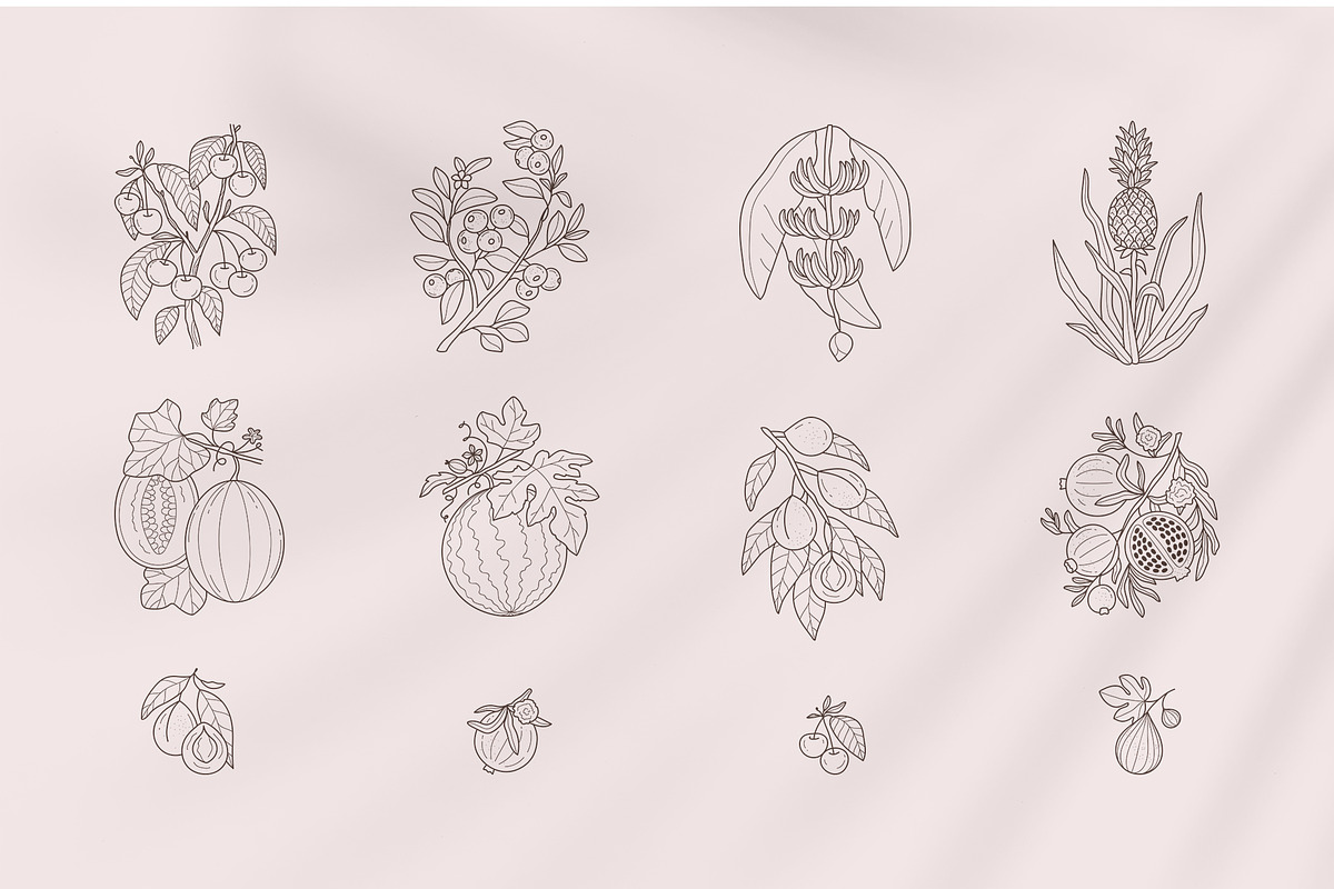 Orchard logo elements and templates, a Graphic by Vasylyka (Photo 6 of 11)