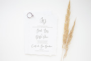 Desert Song | Calligraphy Script, a Script Font by Calamar Studio (Thumbnail 5 of 14)