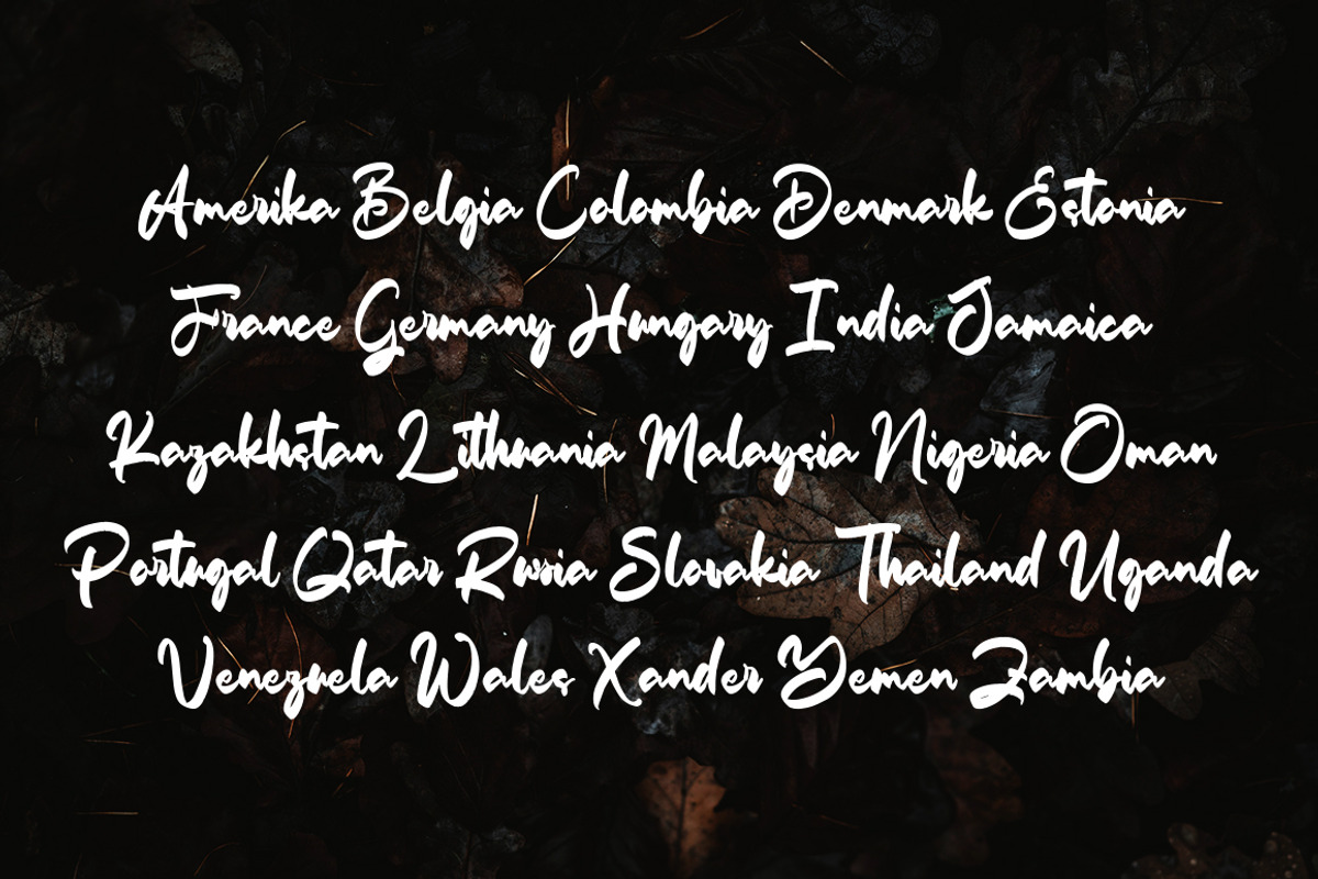 Rose Wales, a Handwritten Font by Megatype (Photo 7 of 7)