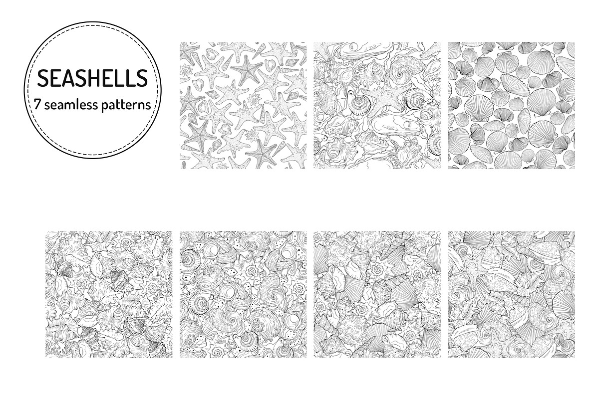 Seashells Vector Collection Line Art, an Animal Illustration by ennona_art (Photo 4 of 6)