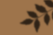 Autumn Shadows +Bonus Spooky Shadows, an Object Graphic by Jessica Fadel Design (Thumbnail 17 of 18)