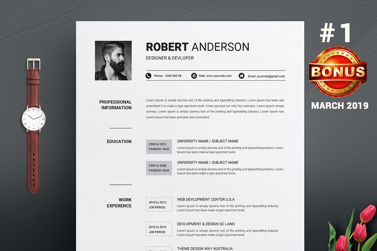 Resume/CV Bundle | 200+ for $29, a Resume Template by ResumeInventor (Photo 42 of 207)