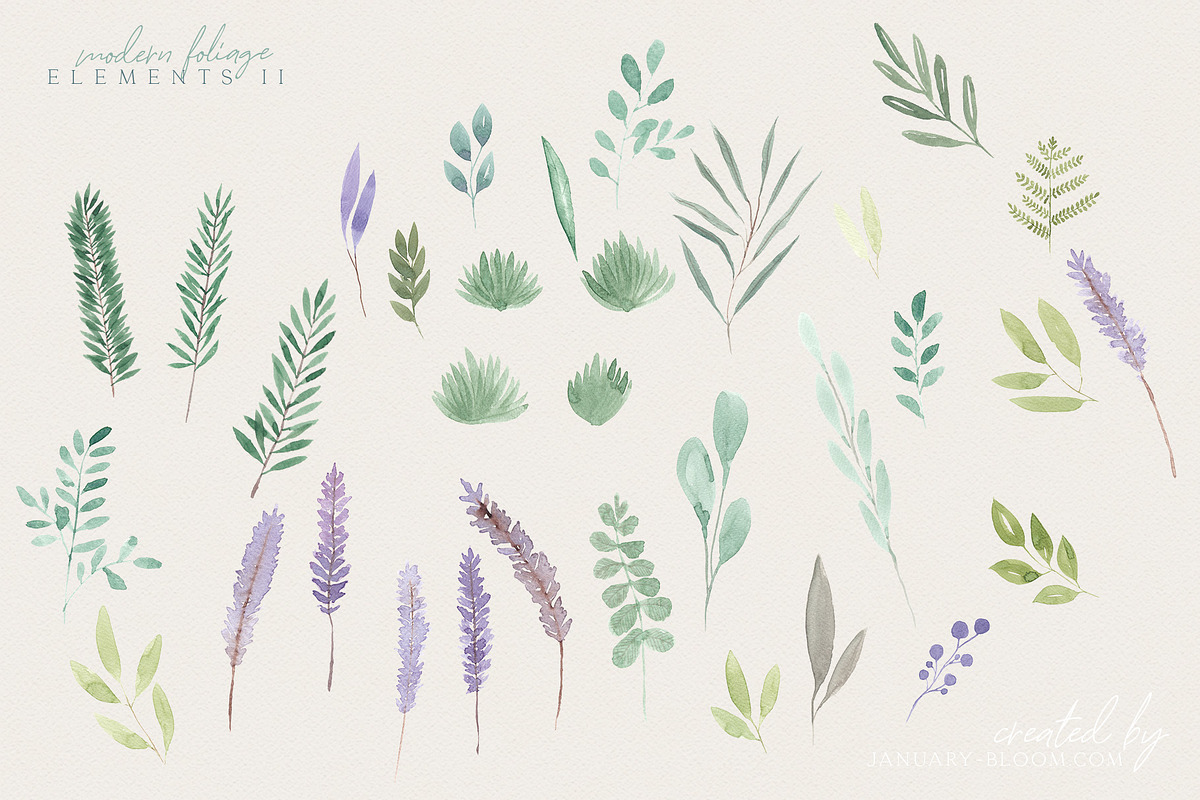 Handmade Foliage watercolour herbs, an Illustration by January Bloom (Photo 10 of 13)