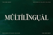 The One Editorial Serif, a Serif Font by Blanc Salváge (Thumbnail 18 of 18)