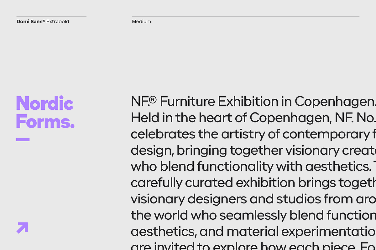 Domi, a Sans Serif Font by Latinotype (Photo 13 of 14)
