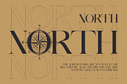 Baguka Elegant Serif Font, a Serif Font by Perfectype (Thumbnail 3 of 10)