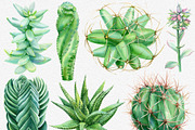 Watercolor Green plants, a Decorative Illustration by Hanna Hryharenka (Thumbnail 7 of 11)