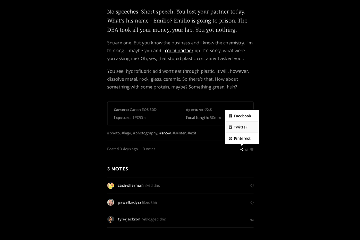 Split tumblr theme, a Websites & App Template by Pixel Revel (Photo 2 of 5)