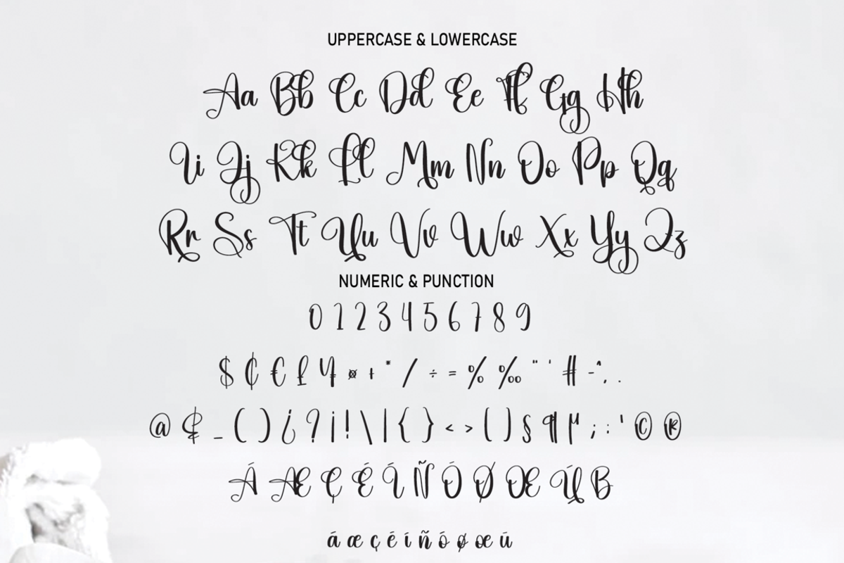 Reload | Script Font, a Script Font by Scratchones (Photo 4 of 7)