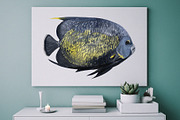 Watercolor tropical fish, an Animal Illustration by KatBranchArt (Thumbnail 4 of 6)