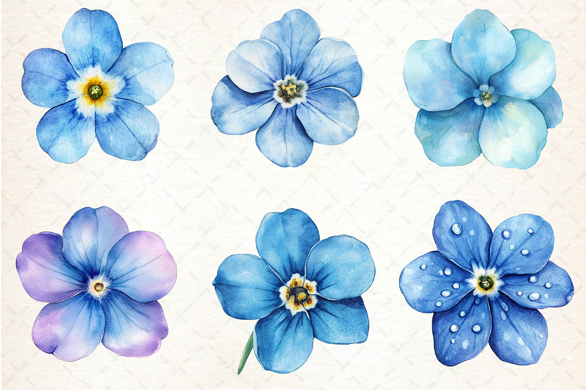 Forget Me Not Flower Bloom Clipart, an Illustration by Dream Creation (Photo 3 of 5)