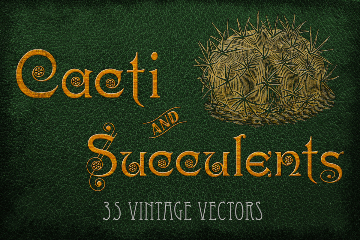 Vintage Cacti and Succulents, an Object Illustration by Mr Vintage (Photo 1 of 11)