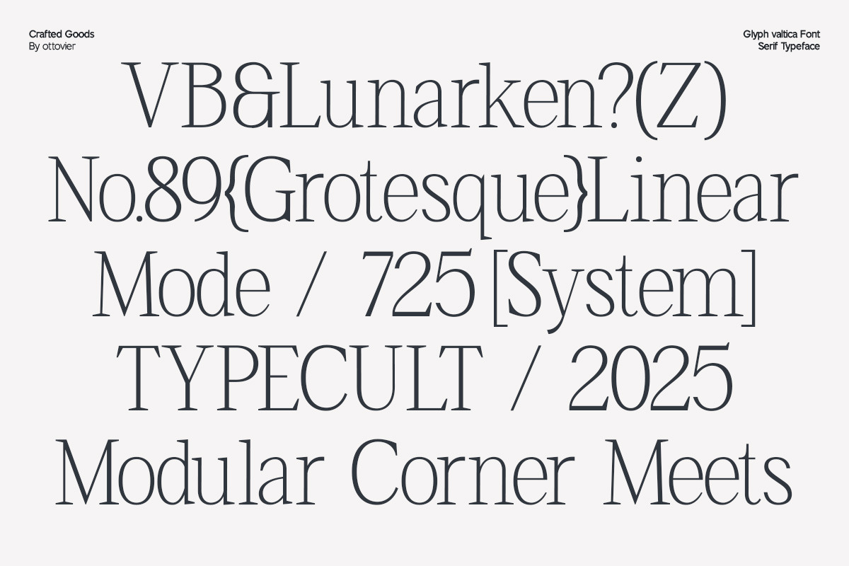 Valtica – Modern Editorial Serif, a Serif Font by OV Type (Photo 2 of 9)