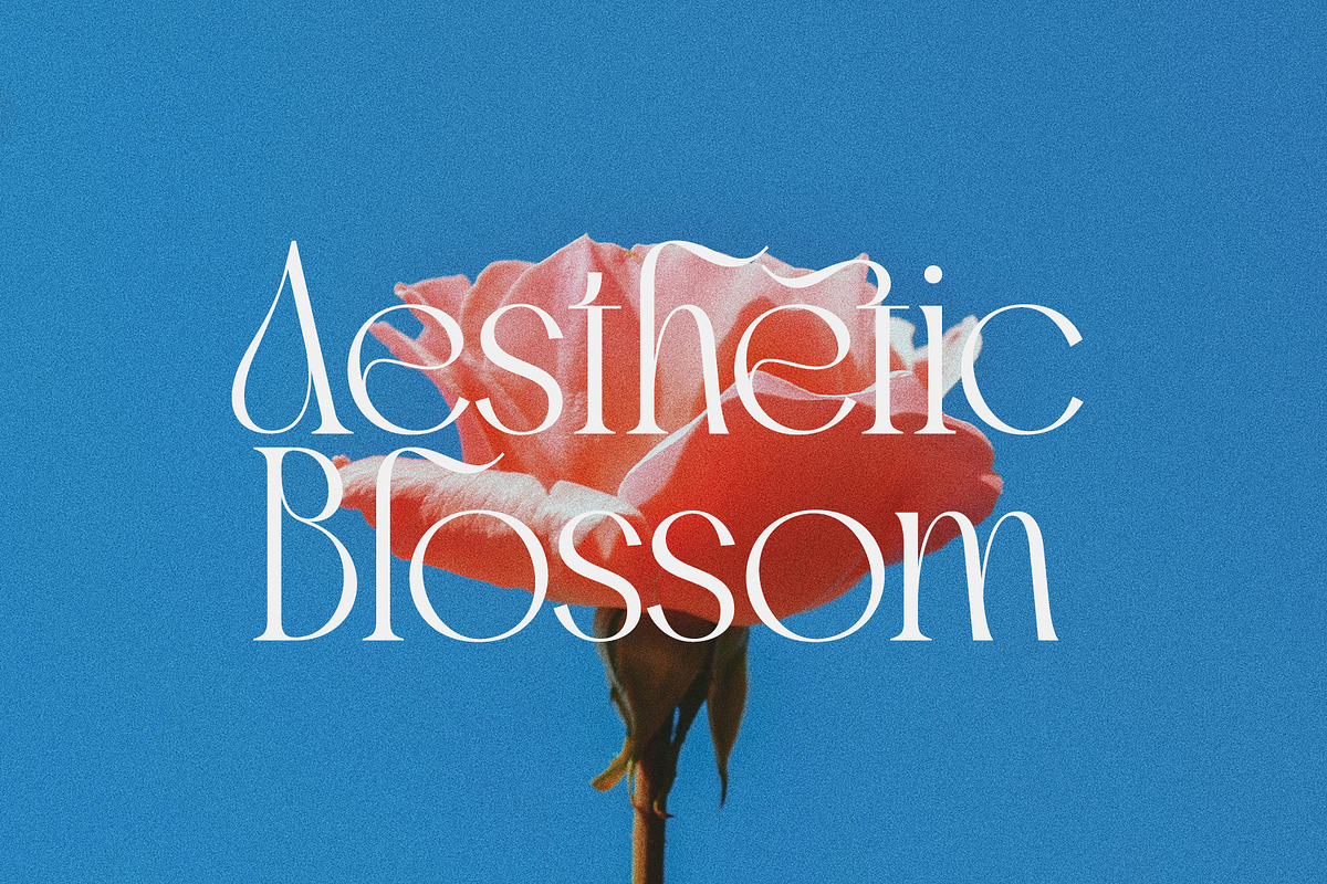 Brune Magery | Modern Elegant Serif, a Serif Font by Typoraith Co (Photo 9 of 13)