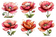 Whimsical Spring Poppy Flowers Clipa, an Illustration by Daily.Designs (Thumbnail 6 of 8)