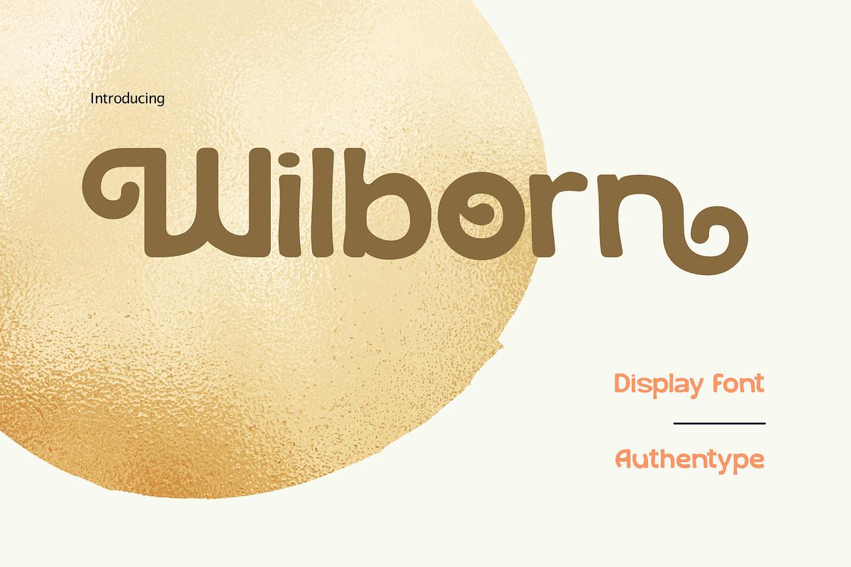Wilborn - Display Font, a Serif Font by AuthenType (Photo 1 of 14)