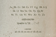 Fernon - Modern Serif Font, a Serif Font by PROF STUDIO (Thumbnail 3 of 7)
