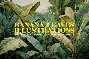 24 Banana Leaf Illustrations