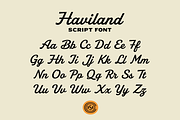 Haviland Script, a Script Font by Hustle Supply Co. (Thumbnail 4 of 10)