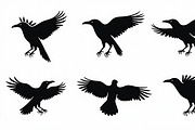 Flying Bird Silhouette Bundle, an Illustration by Creativeshirt (Thumbnail 9 of 10)