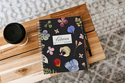 SUMMER MEMORIES - herbarium flowers, an Object Graphic by alenaganzhela (Thumbnail 7 of 8)
