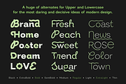 Modern Sans, a Sans Serif Font by Larin Type Co. (Thumbnail 5 of 15)