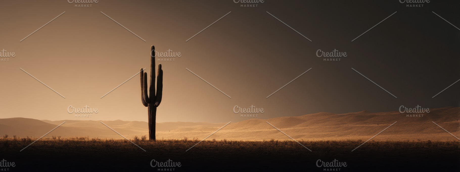 Desert landscape with cactus, a Nature Photo by Virgo Studio