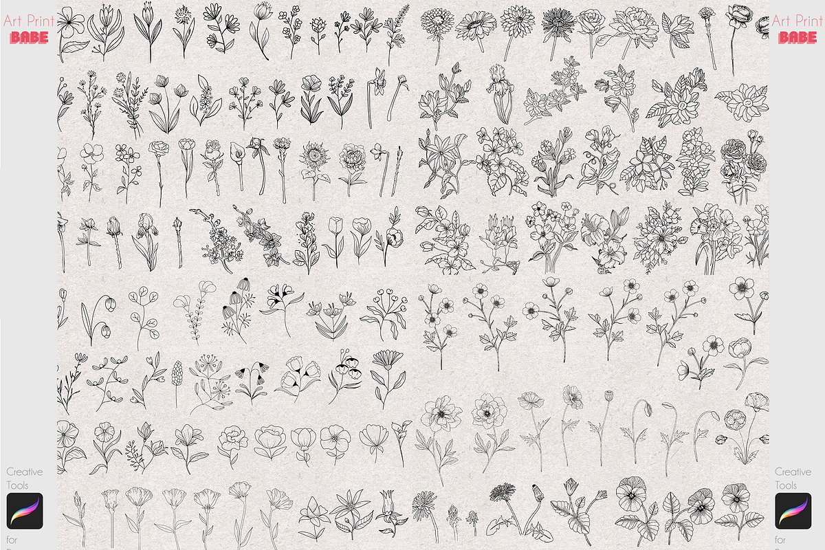 Procreate Botanical Stamp Flower Art, a Brush Add-On by ArtPrintBabe (Photo 6 of 6)