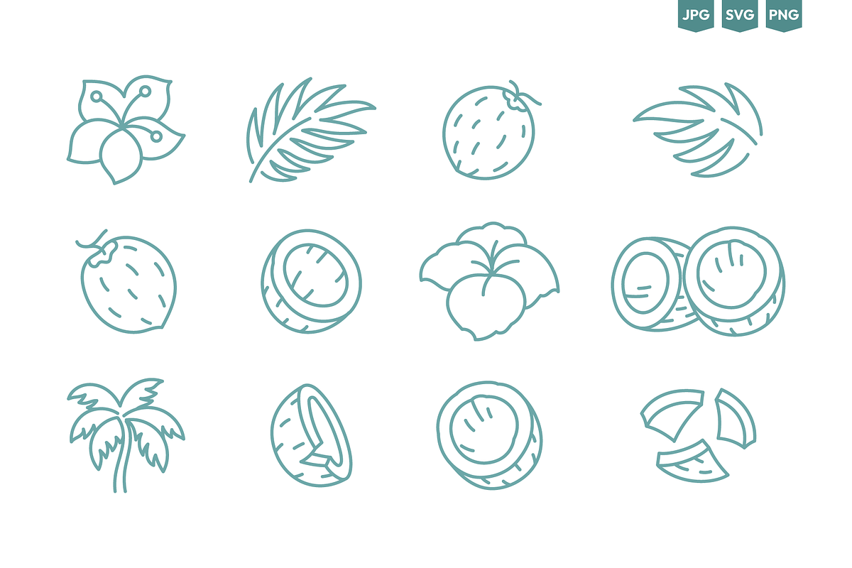 Tropical Doodles, Vector Set, a Decorative Illustration by Ilia Design (Photo 5 of 11)