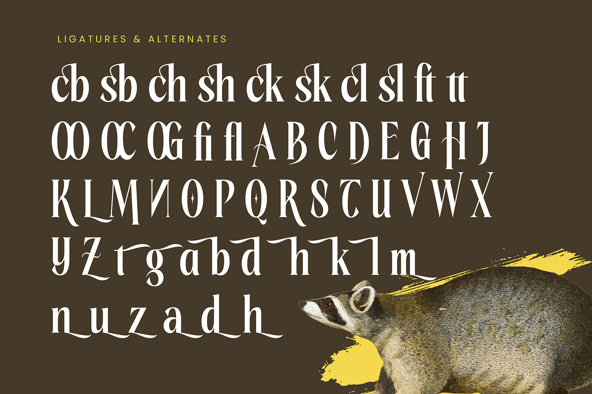 Rachon Bold Tall Display Serif, a Serif Font by timelesstype.co (Photo 18 of 20)