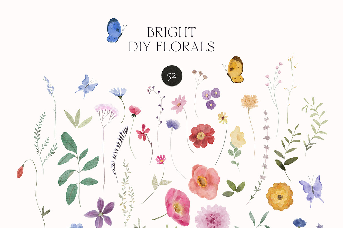 BRIGHT Watercolor Wildflowers, a Decorative Illustration by Lana Elanor (Photo 3 of 11)