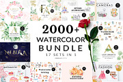 Watercolor Whole Shop Bundle, an Illustration by Kaya Fonts (Thumbnail 1 of 19)
