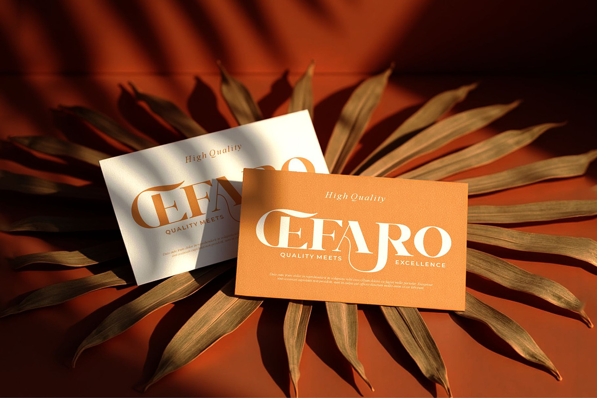 Chalsse || Modern Serif Font, a Serif Font by Ermedia Studio (Photo 9 of 10)