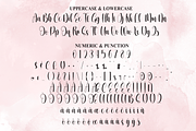 Blushing | Script Font, a Handwritten Font by Scratchones (Thumbnail 7 of 8)