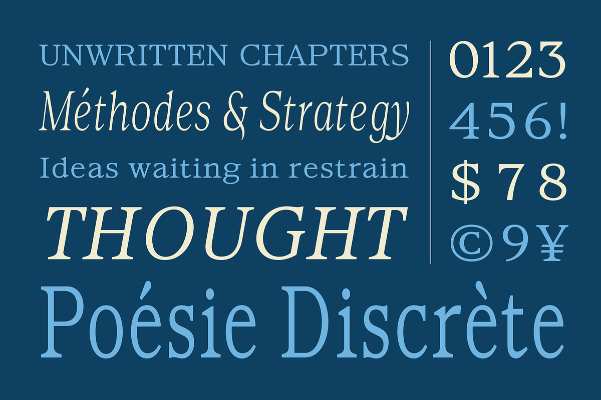 Imagin, a Serif Font by Dora Typefoundry (Photo 4 of 10)
