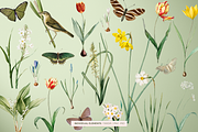 SPRING FLOWERS SEAMLESS PATTERNS, a Pattern Graphic by Splash! (Thumbnail 8 of 10)