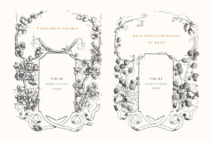 Floral Invitation Border PNG Pack