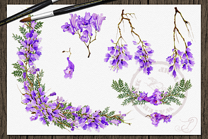 Jacaranda Watercolor Clip Art